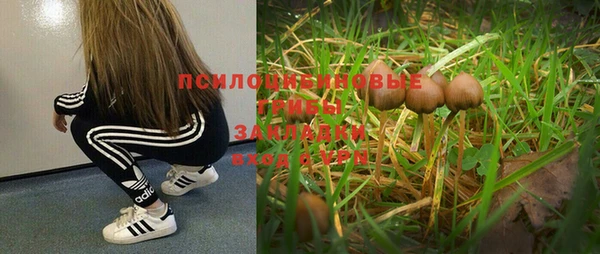 2c-b Алексеевка