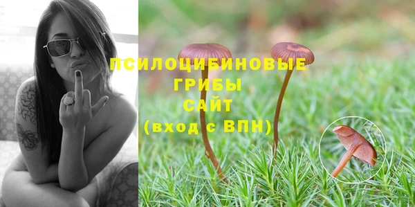молекула духа Алзамай