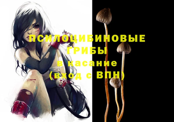 молекула духа Алзамай