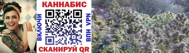 MEGA tor Можга Каннабис конопля